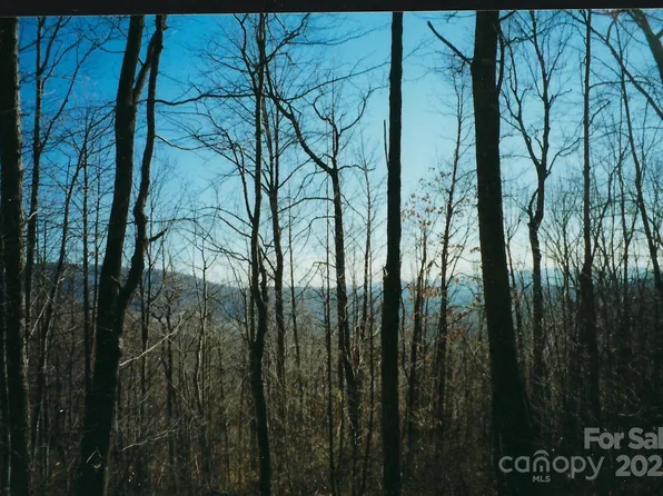 35 Damselfly Ct, Spruce Pine, NC 28777