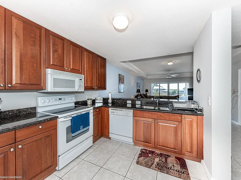 3322 Purple Martin Dr #132 — Photo 9