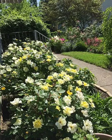 Professionally landscaped.