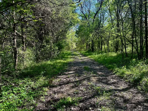 0 Cedar Grove Rd S, Chapel Hill, TN 37034
