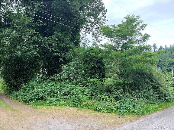 Looking from the left corner of the property off Bain Rd by gravel road to left. Please note, the gravel road is not within the listed parcel. 