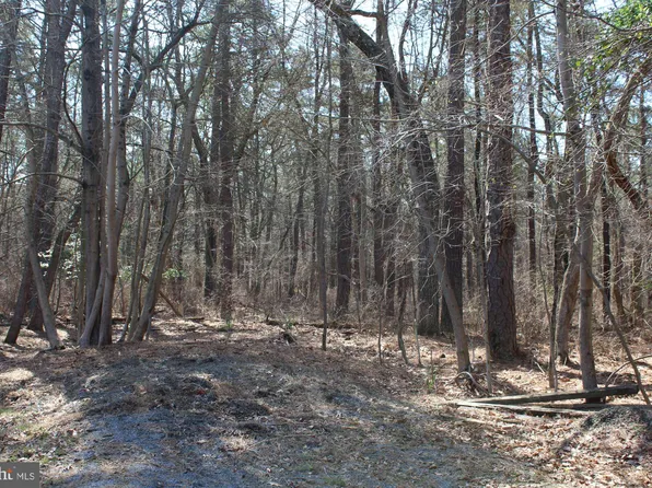 Chicory St, Browns Mills, NJ 08015