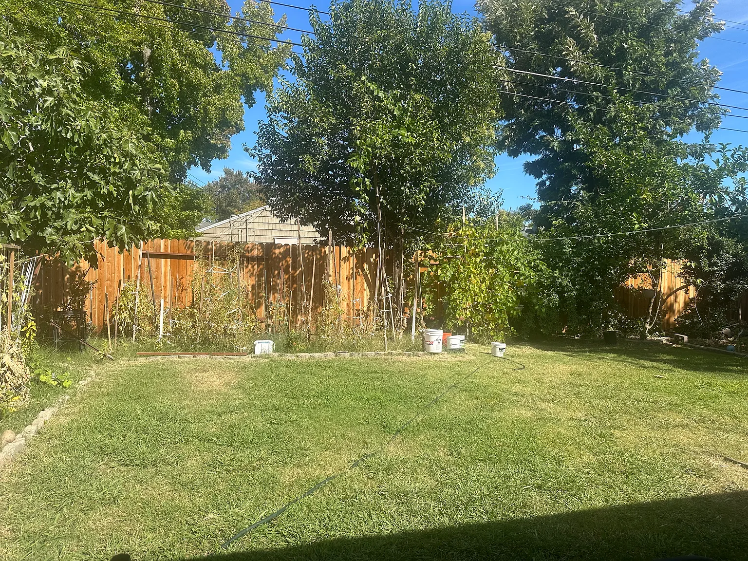 3 bed, 1600 sqft, $2,630 — Photo 2