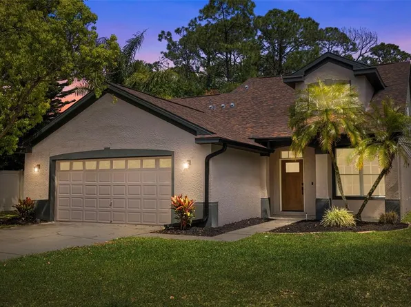 5624 Essex Ct, Palm Harbor, FL 34685