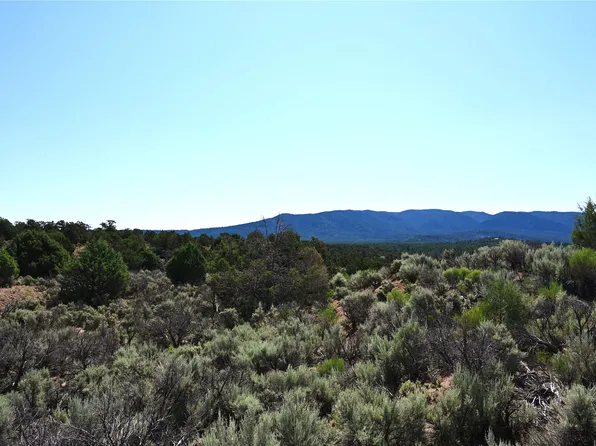 0 Nm Br #96, Regina, NM 87046