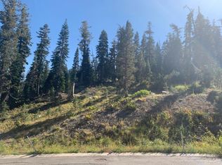 10 Palisades Dr, Markleeville, CA 96120