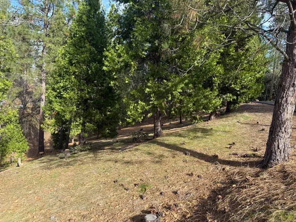 12053 Breckenridge Rd, Groveland, CA 95321