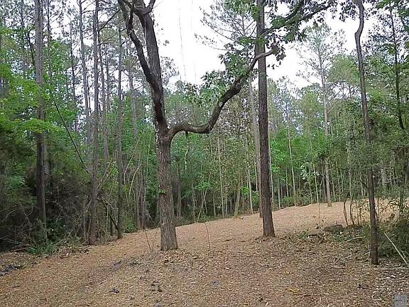 2nd image of 83166 Isabel Swamp Rd