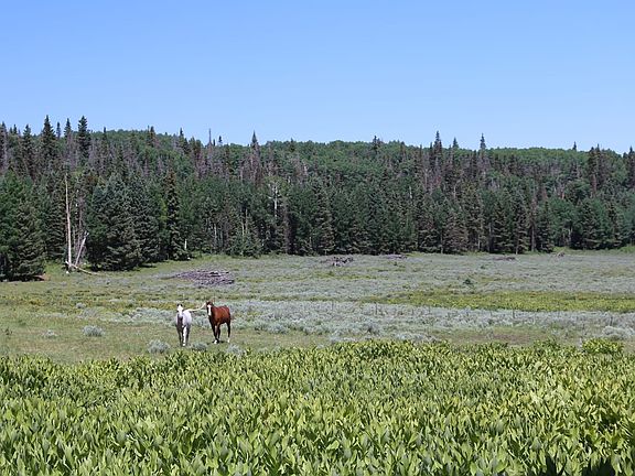4th image of Big Blue Little Blue Creeks Rd