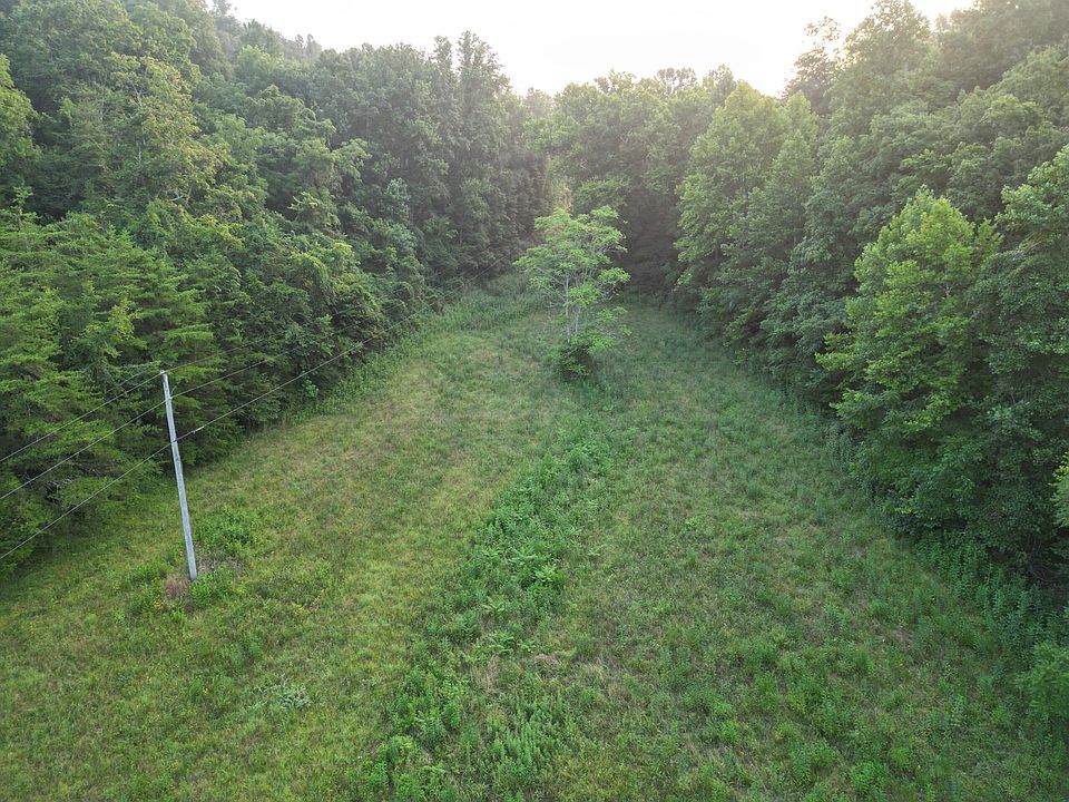 10th image of 597 Lost Hollow Rd