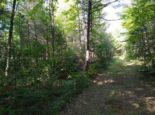 ON Deerskin Park Rd, Phelps, WI 54521