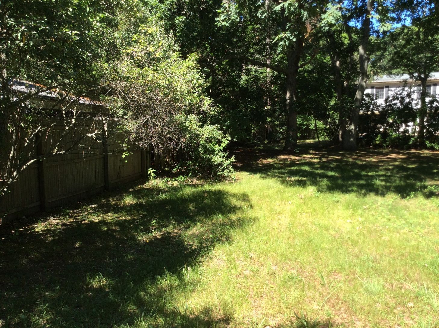  Lots of outdoor space