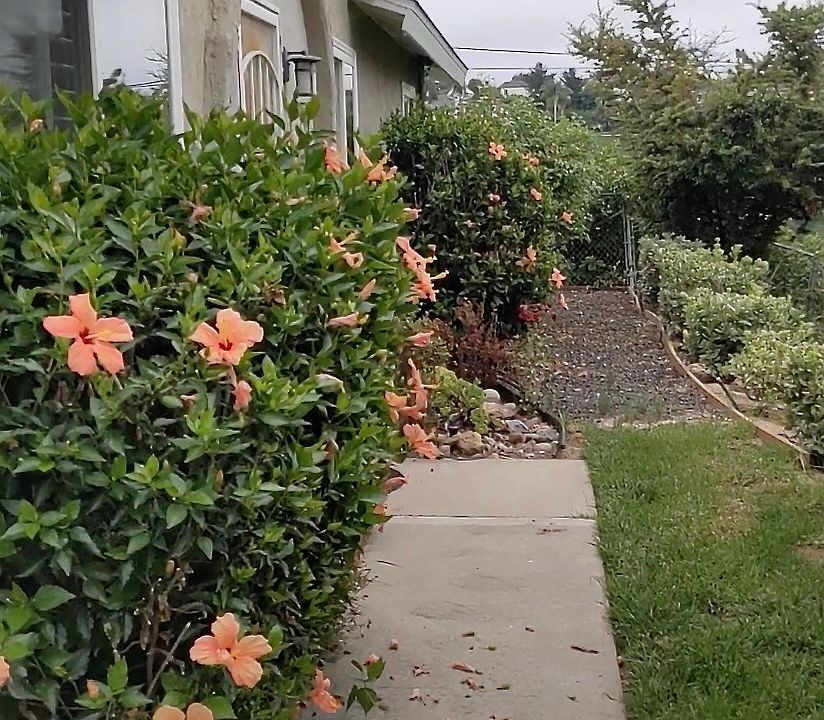 Quiet, corner unit, tucked against Rose Canyon