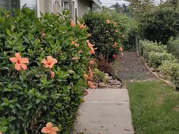 7867 Camino Glorita, San Diego, CA
