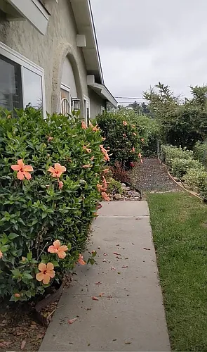 7867 Camino Glorita Photo 1