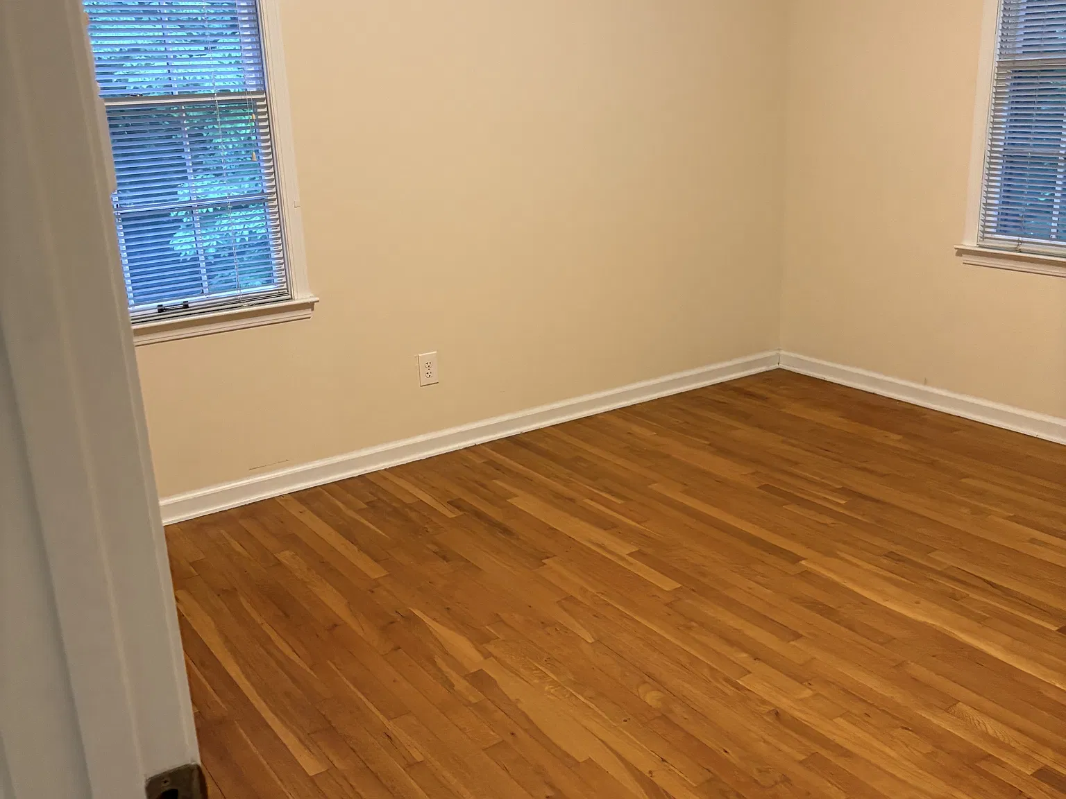 1 bed, 363 sqft, $1,100 — Photo 3