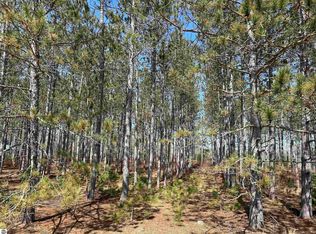 LOT 4 Meadow Ln, Thompsonville, MI 49683