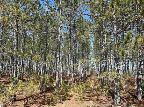 LOT 4 Meadow Ln, Thompsonville, MI 49683