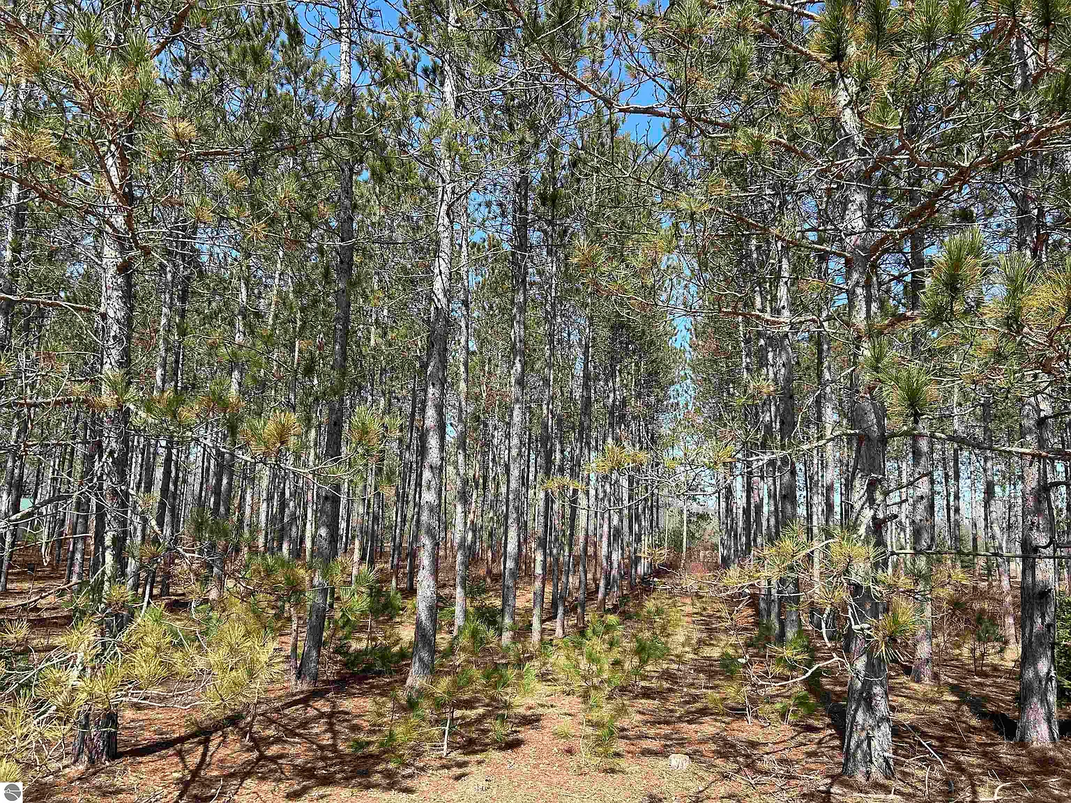LOT 4 Meadow Ln photo 1