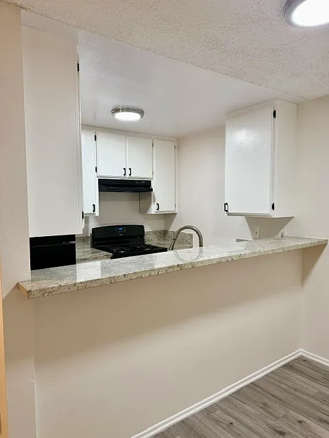 5000 Echo Street — Photo 4