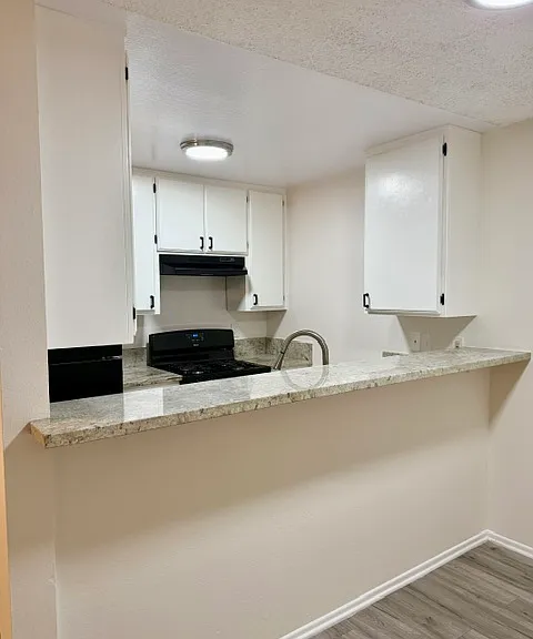 5000 Echo Street — Photo 4