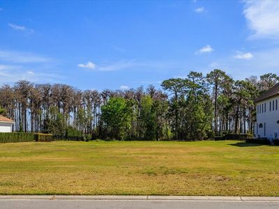 6161 Grosvenor Shore Dr #973, Windermere, FL, 34786