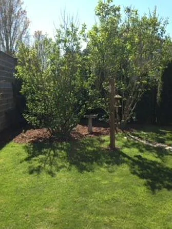 8403 NE 158th Ave — Photo 11