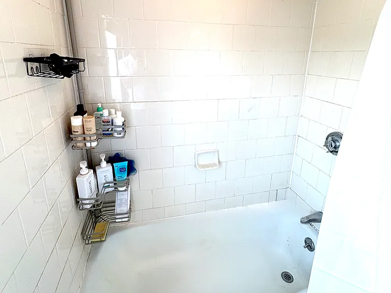 36 E Bowery St #3 — Photo 11