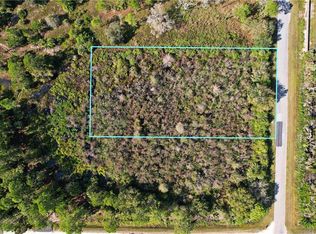 236 Hunting Club Ave, Clewiston, FL 33440