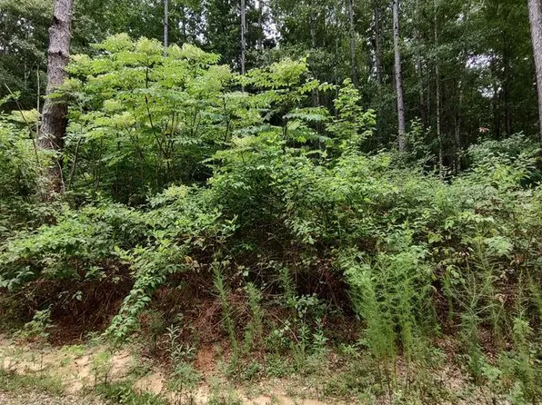 Nhn Lakeshore Dr Lot 160, Lumberton, MS 39455