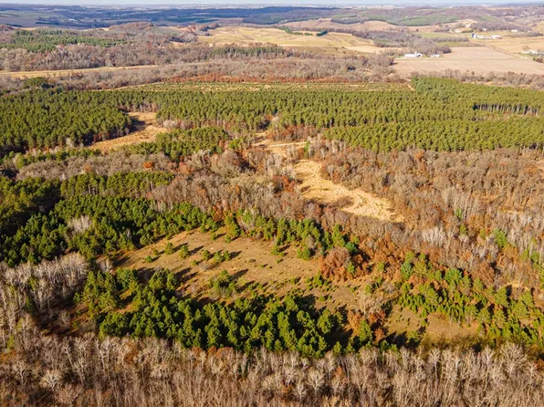 +/-39 Acres Prairie Road E, Osseo, WI 54758