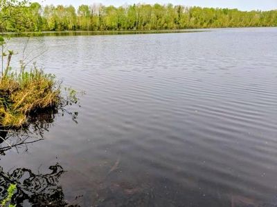 LOT 7 Pixley Wilderness West Rd, Park Falls, WI, 54552