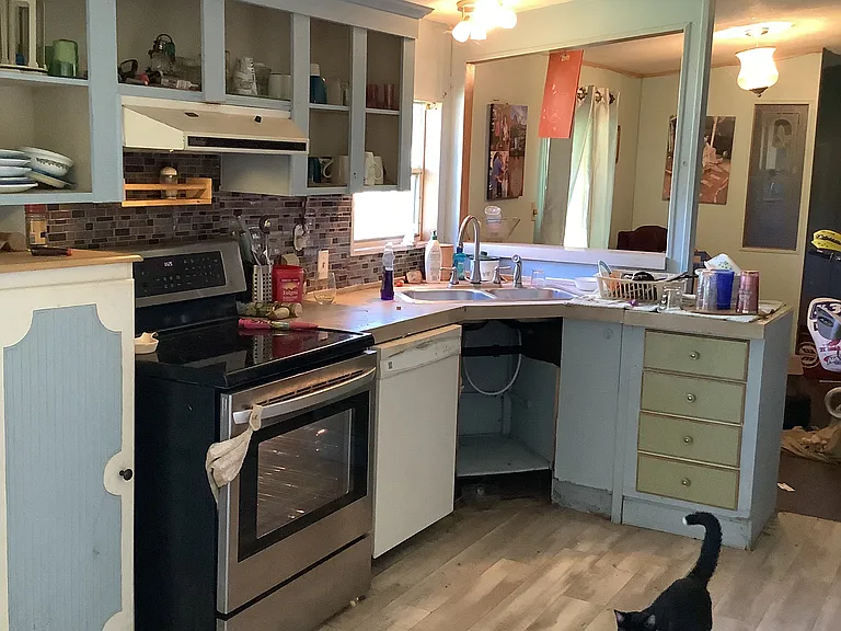 20406 Blue Wing Rd — Photo 3
