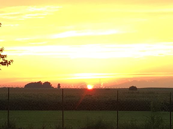 Partially fenced yard