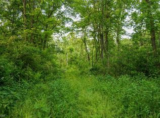State Route 555, Blue Rock, OH 43720