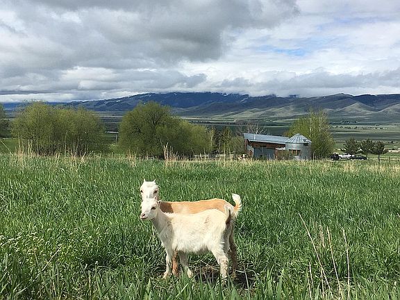 View of house from above.