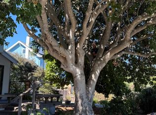 242 Sunset Ave, Santa Cruz, CA 95060