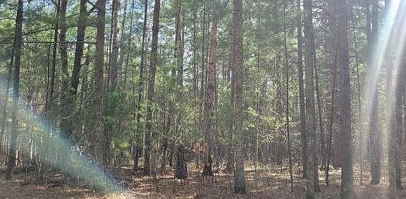 2nd image of XXX Normans Landing Road