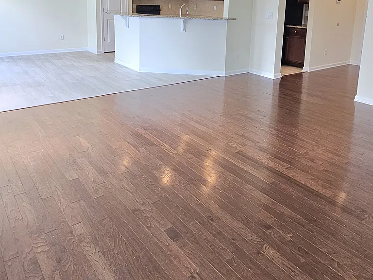 401 Bear Tree Ct — Photo 30