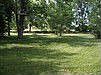 Large Back yard