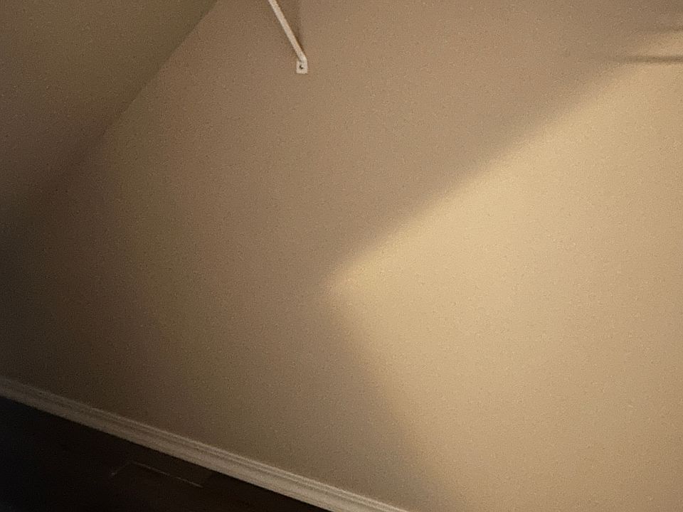 Large Closet in the Entry Hall