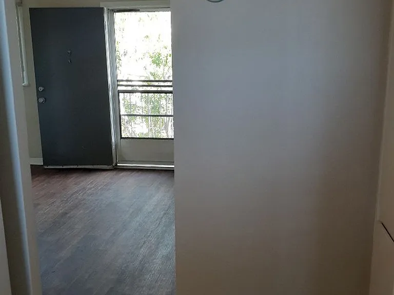 343 Palm Ave #K — Photo 11