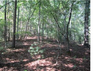 Peppermint Ln, Ellijay, GA 30540