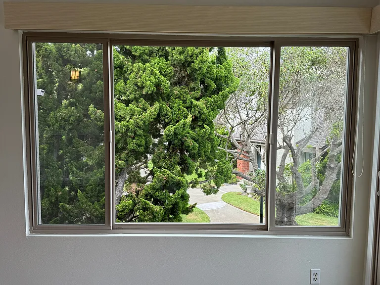 Living Room Window View