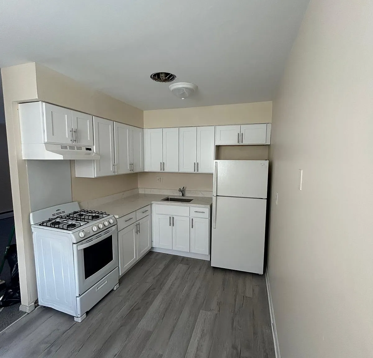 1 bed, 1000 sqft, $1,250 — Photo 2