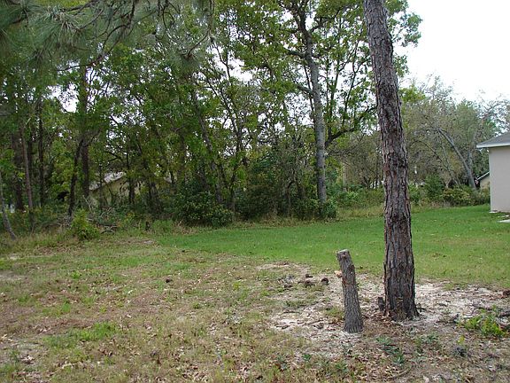 Back yard right side