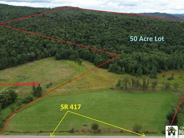 V/l 50 State Rte #417, Little Genesee, NY 14754