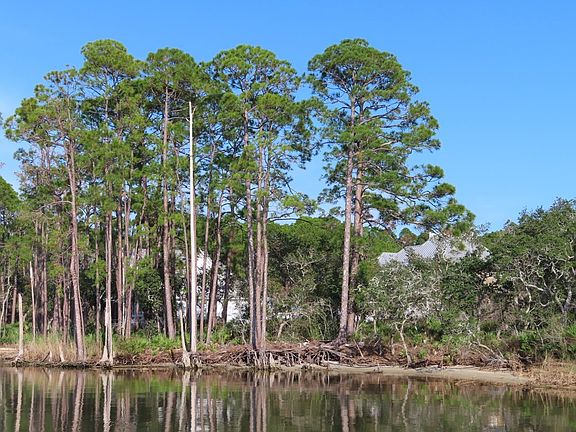 5th image of 253 Magnolia Bay Dr