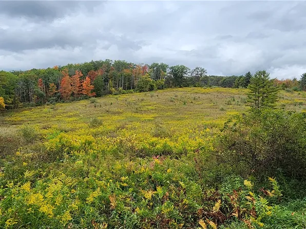 Hanyon Rd Lot 17, Canisteo, NY 14823