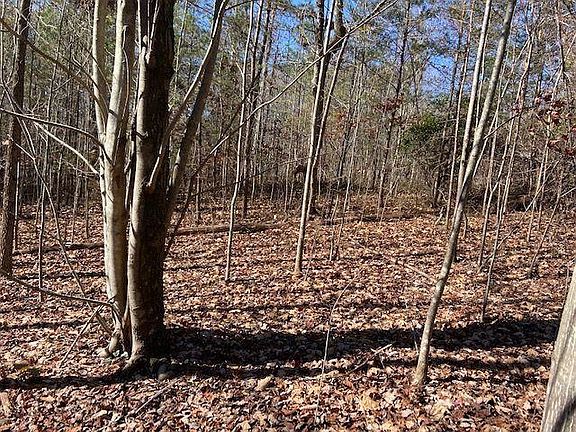 4th image of 8 Cameron Point Lot 8